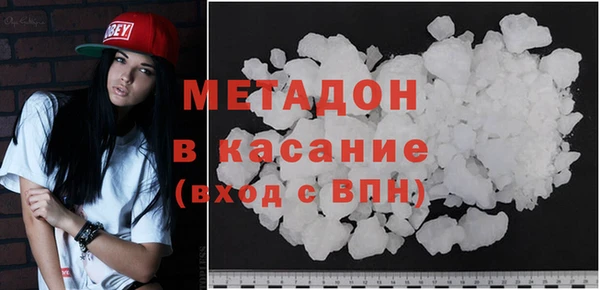 индика Бородино