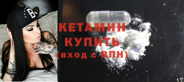 индика Бородино