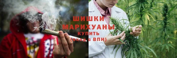 мдпв Бугульма