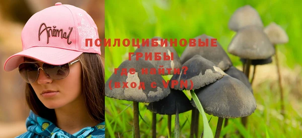 мдпв Бугульма