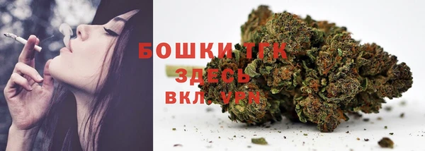 индика Бородино