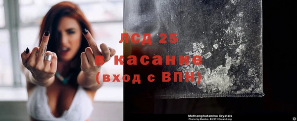 индика Бородино