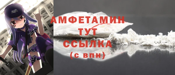 индика Бородино