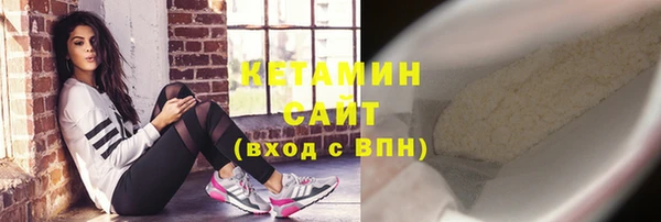 индика Бородино