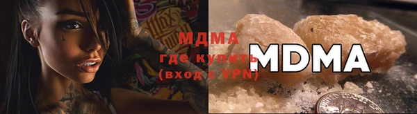 индика Бородино