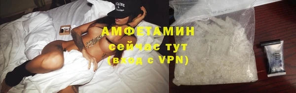 индика Бородино