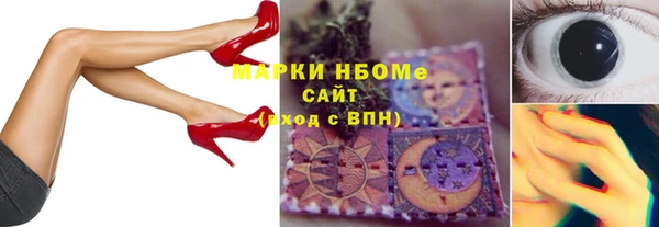 индика Бородино