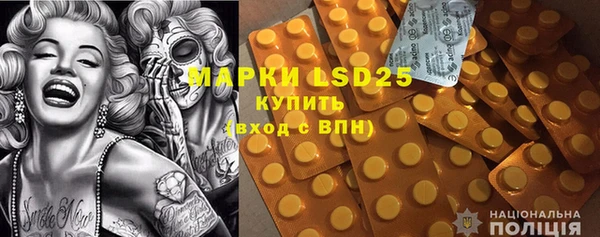 индика Бородино