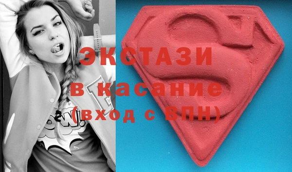 индика Бородино