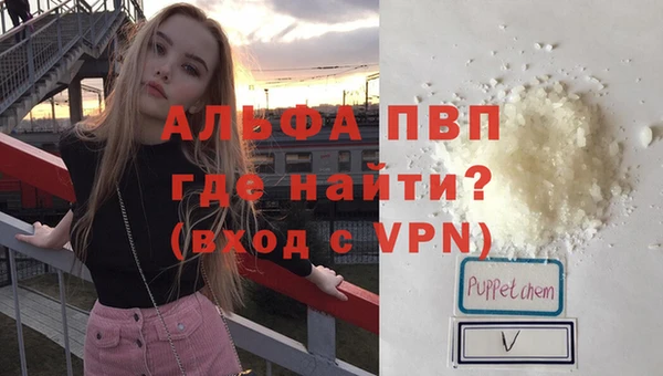 индика Бородино