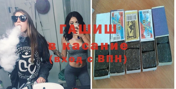 индика Бородино