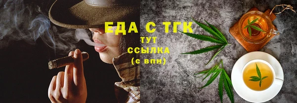 индика Бородино
