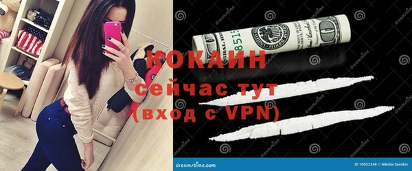 индика Бородино