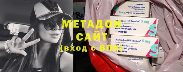 индика Бородино