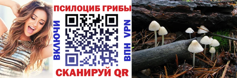 Купить где  Пестово  Псилоцибиновые грибы Psilocybine cubensis 